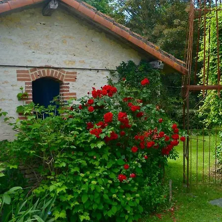 Domaine D Azac Usson-du-Poitou